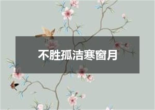 不胜孤洁寒窗月