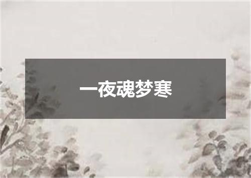 一夜魂梦寒