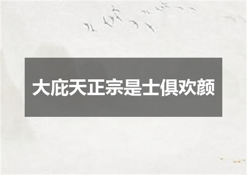 大庇天正宗是士俱欢颜