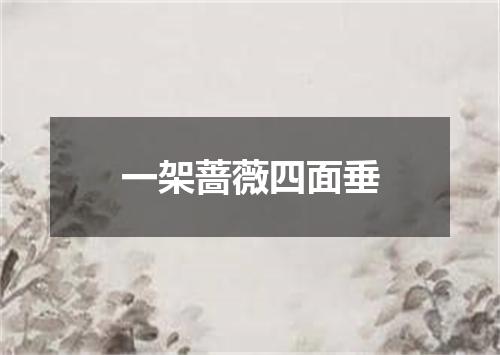 一架蔷薇四面垂