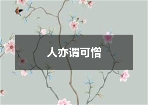 人亦谓可憎