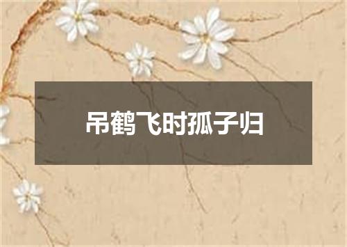 吊鹤飞时孤子归
