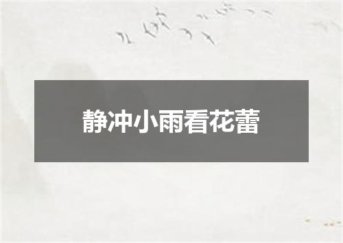 静冲小雨看花蕾