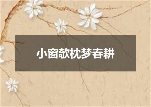 小窗欹枕梦春耕