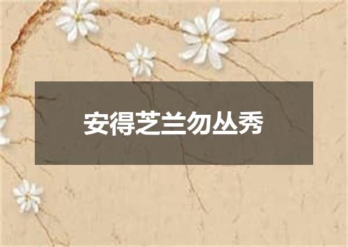 安得芝兰勿丛秀