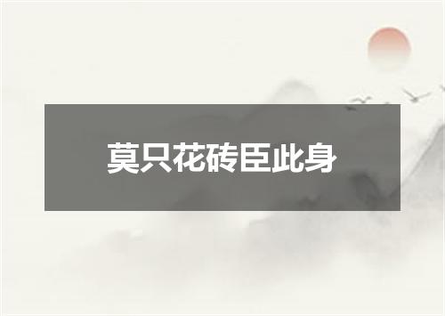 莫只花砖臣此身