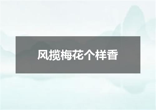 风揽梅花个样香