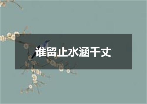 谁留止水涵千丈