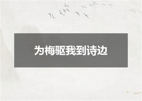 为梅驱我到诗边