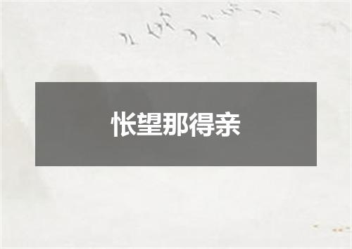 怅望那得亲