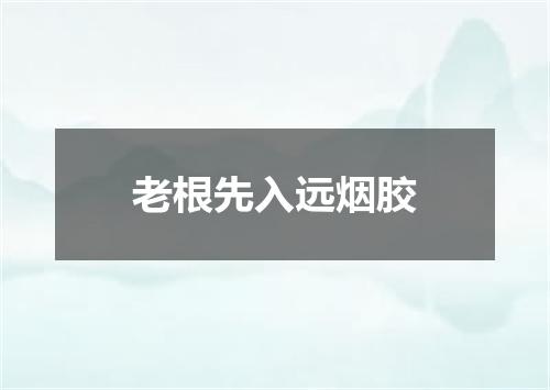 老根先入远烟胶