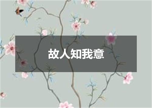 故人知我意