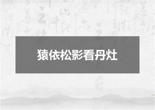 猿依松影看丹灶