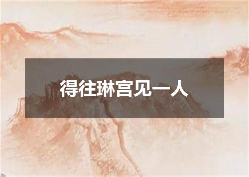得往琳宫见一人