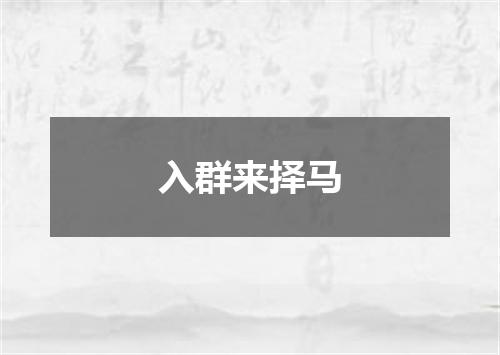 入群来择马