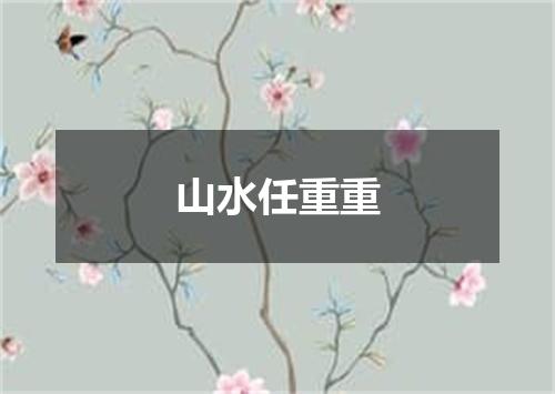 山水任重重