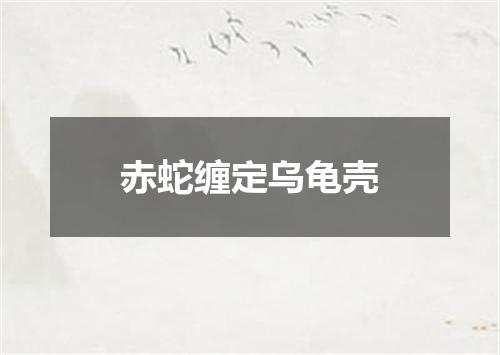 赤蛇缠定乌龟壳