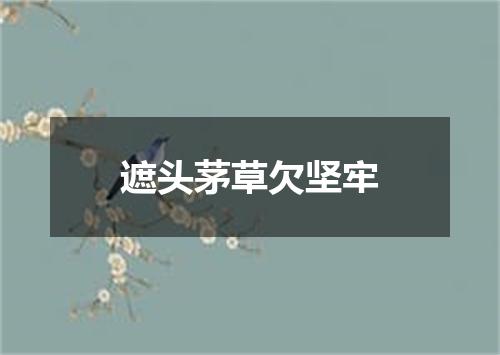 遮头茅草欠坚牢