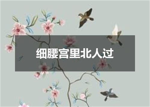 细腰宫里北人过