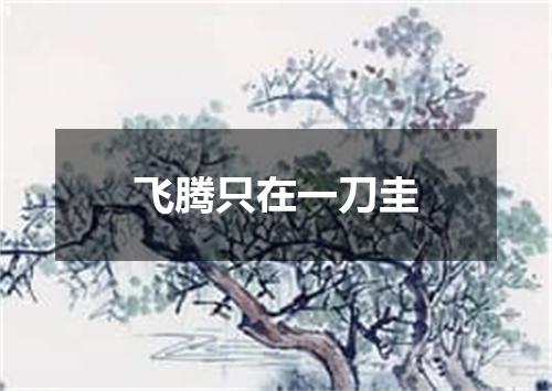 飞腾只在一刀圭