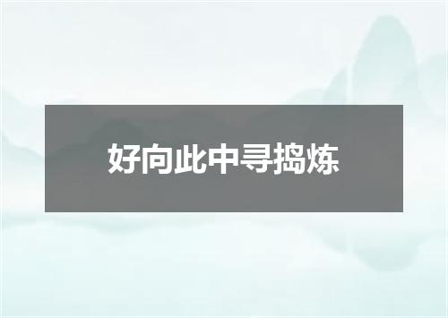 好向此中寻捣炼