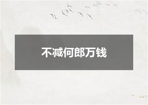 不减何郎万钱