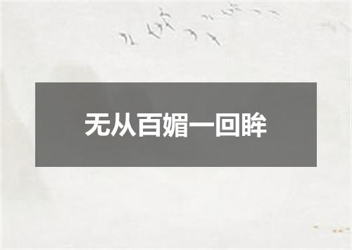 无从百媚一回眸