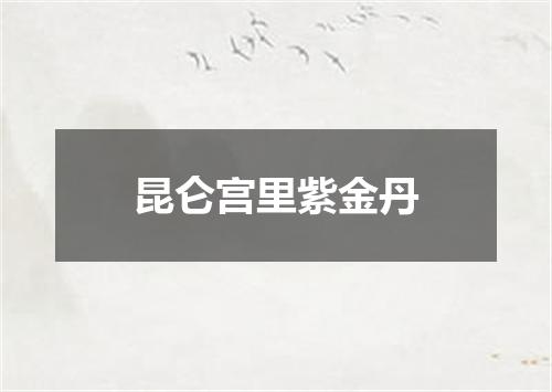 昆仑宫里紫金丹