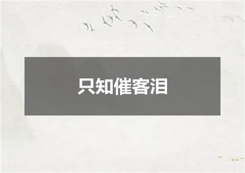 只知催客泪