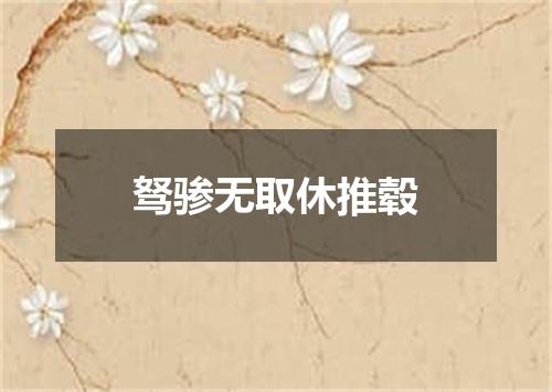 驽骖无取休推毂