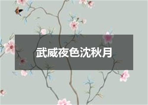 武威夜色沈秋月