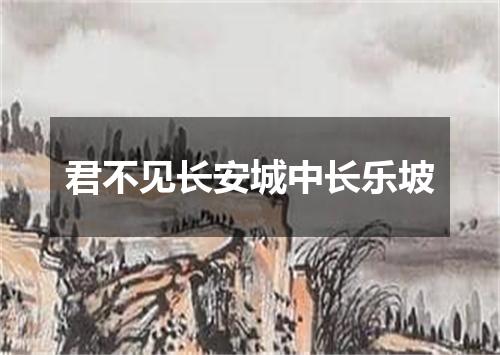 君不见长安城中长乐坡