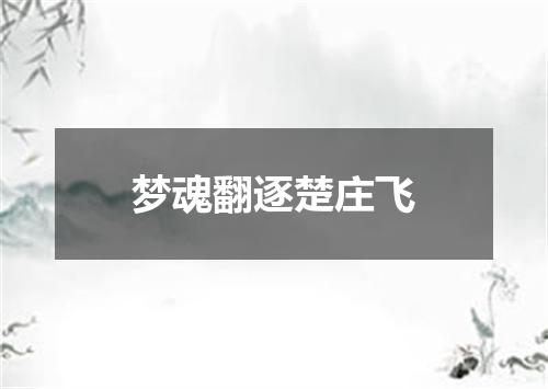 梦魂翻逐楚庄飞