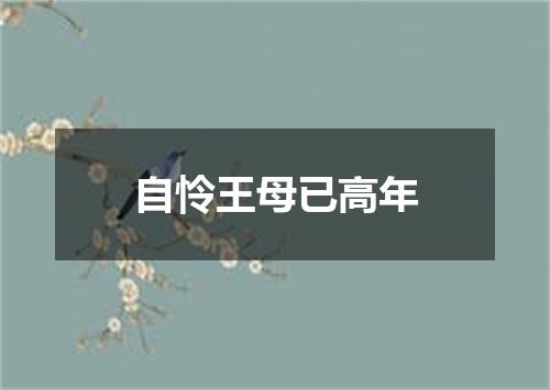 自怜王母已高年