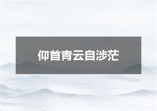 仰首青云自涉茫
