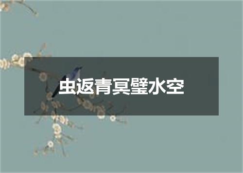虫返青冥璧水空