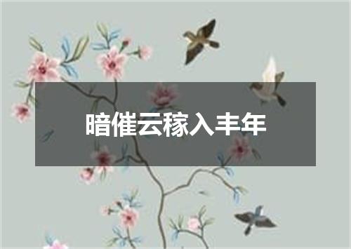 暗催云稼入丰年