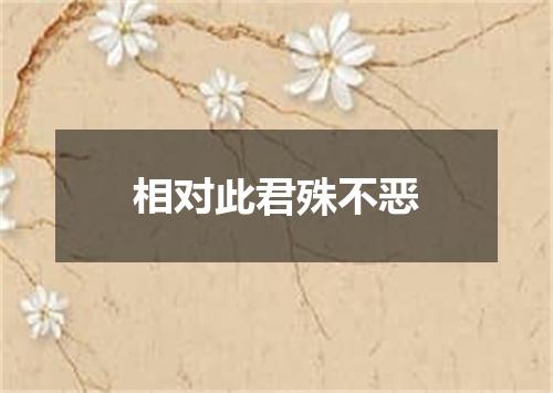 相对此君殊不恶