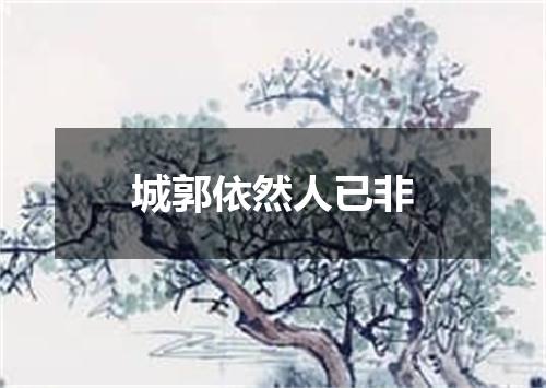 城郭依然人已非