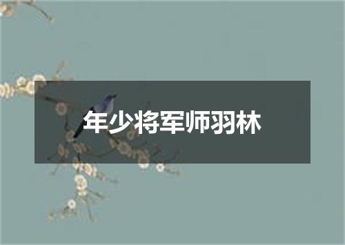 年少将军师羽林