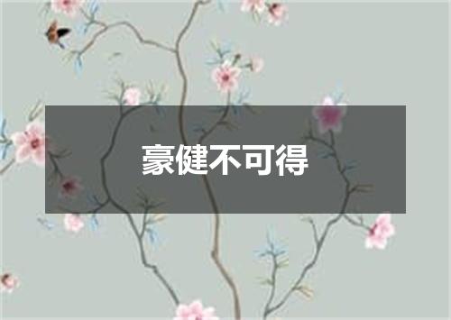 豪健不可得