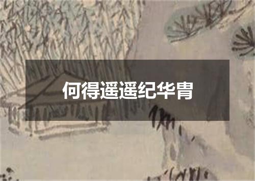 何得遥遥纪华胄