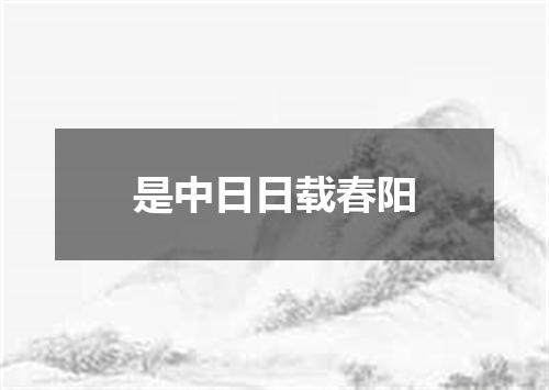 是中日日载春阳