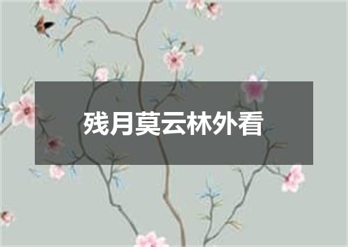 残月莫云林外看