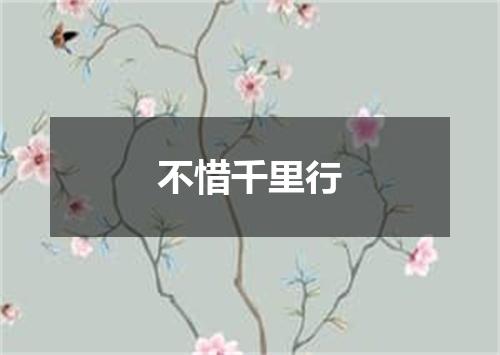 不惜千里行
