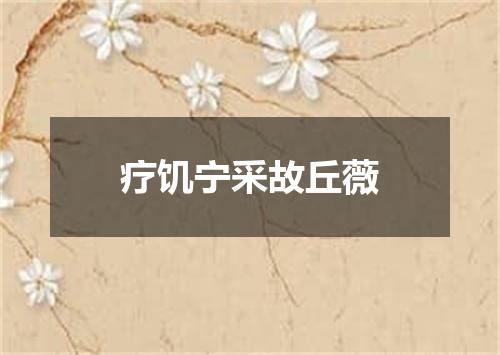 疗饥宁采故丘薇