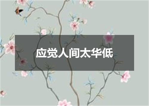 应觉人间太华低