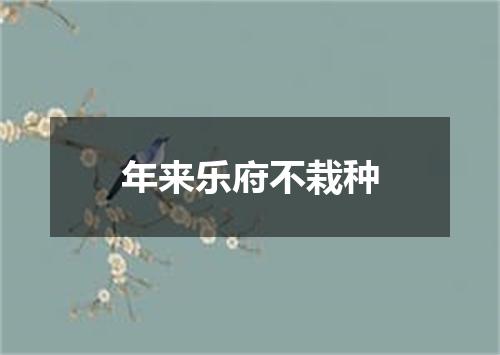 年来乐府不栽种