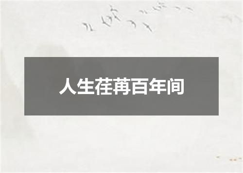 人生荏苒百年间