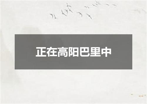 正在高阳巴里中